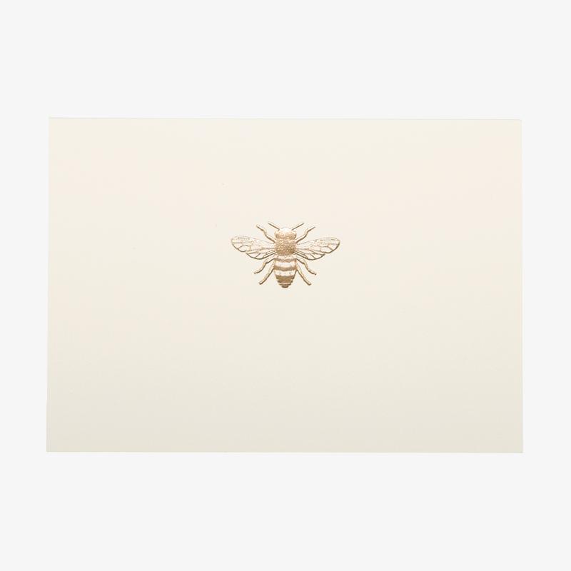 Equipo de tarjetas en blanco
